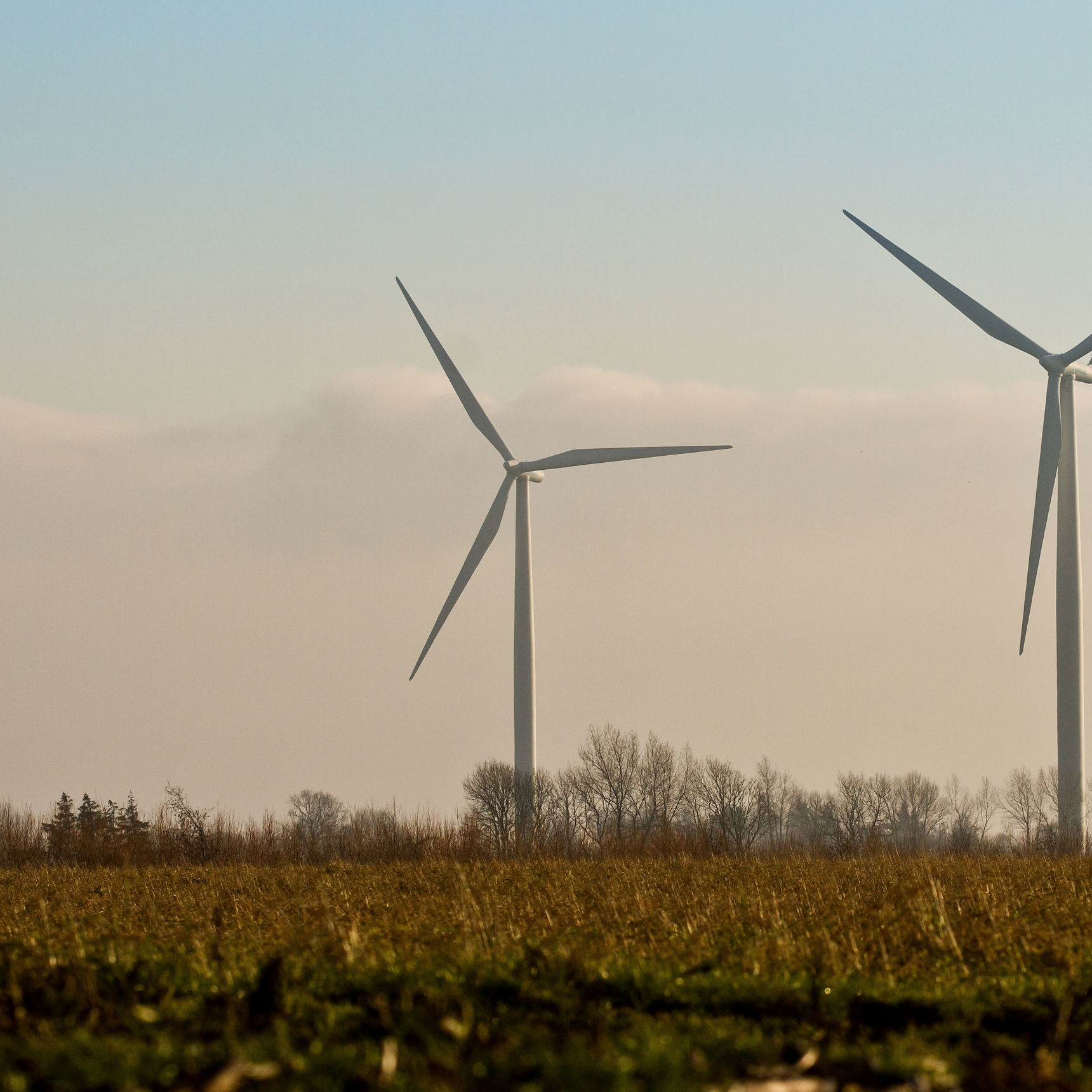 Vindmøller i horisonten på en mark